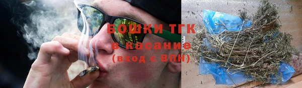 ПСИЛОЦИБИНОВЫЕ ГРИБЫ Гусь-Хрустальный