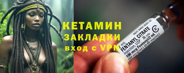 ПСИЛОЦИБИНОВЫЕ ГРИБЫ Гусь-Хрустальный