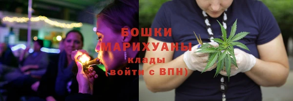ALPHA PVP Гусев