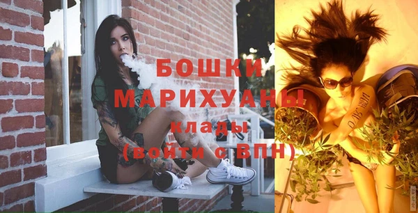 ALPHA PVP Гусев