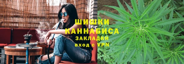 ПСИЛОЦИБИНОВЫЕ ГРИБЫ Гусь-Хрустальный