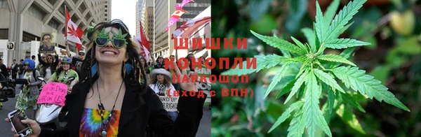 ПСИЛОЦИБИНОВЫЕ ГРИБЫ Гусь-Хрустальный