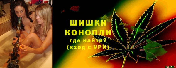 ПСИЛОЦИБИНОВЫЕ ГРИБЫ Гусь-Хрустальный