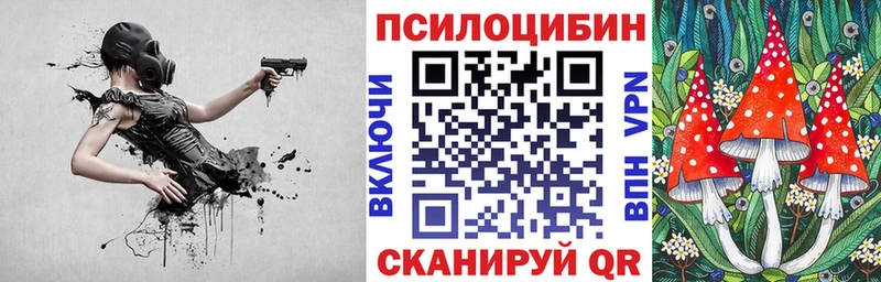 гидра рабочий сайт  Боровск  Галлюциногенные грибы Psilocybe 